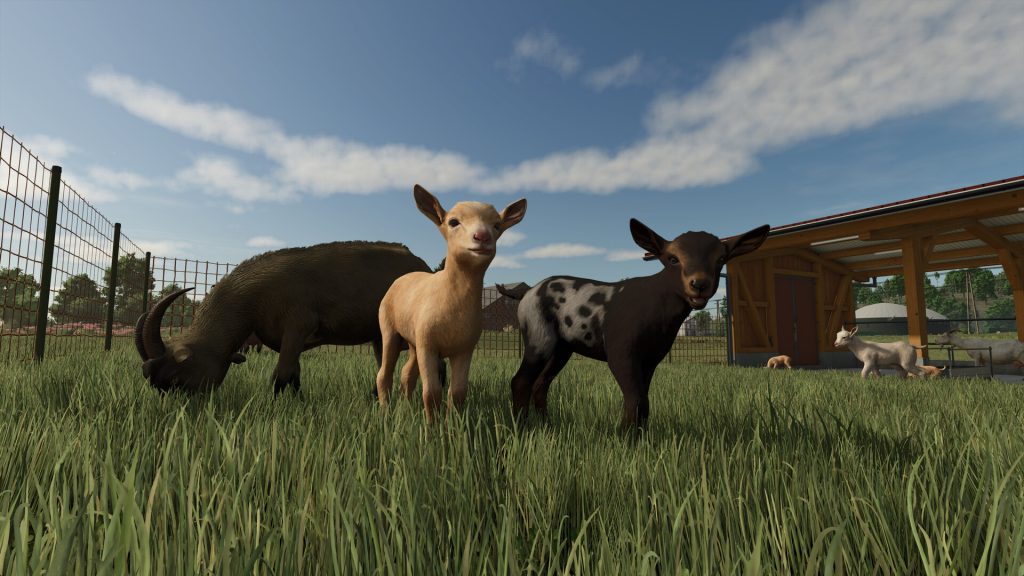 Farming Simulator 25 oyunundan ekran görüntüsü